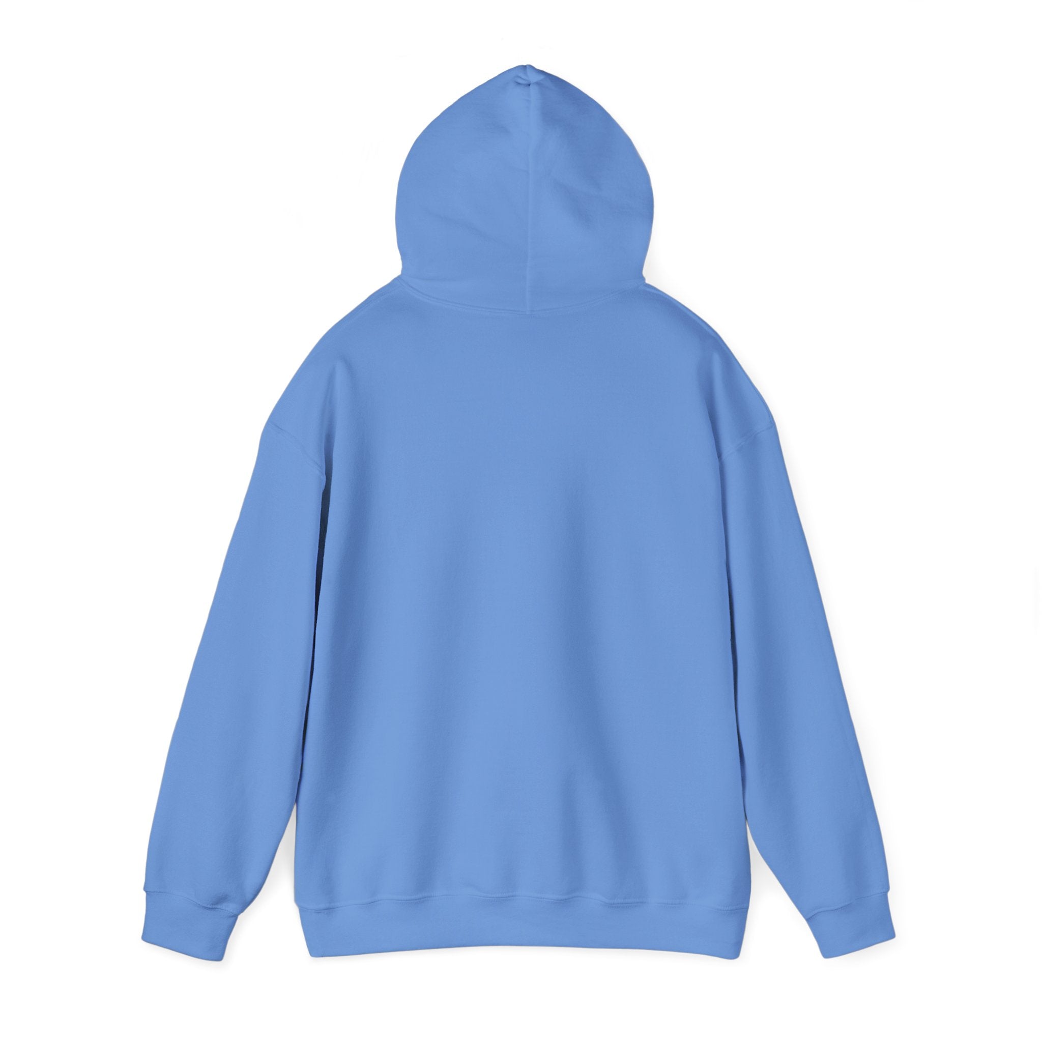 Positive Vibes Only - Sweat-shirt à capuche unisexe Heavy Blend™