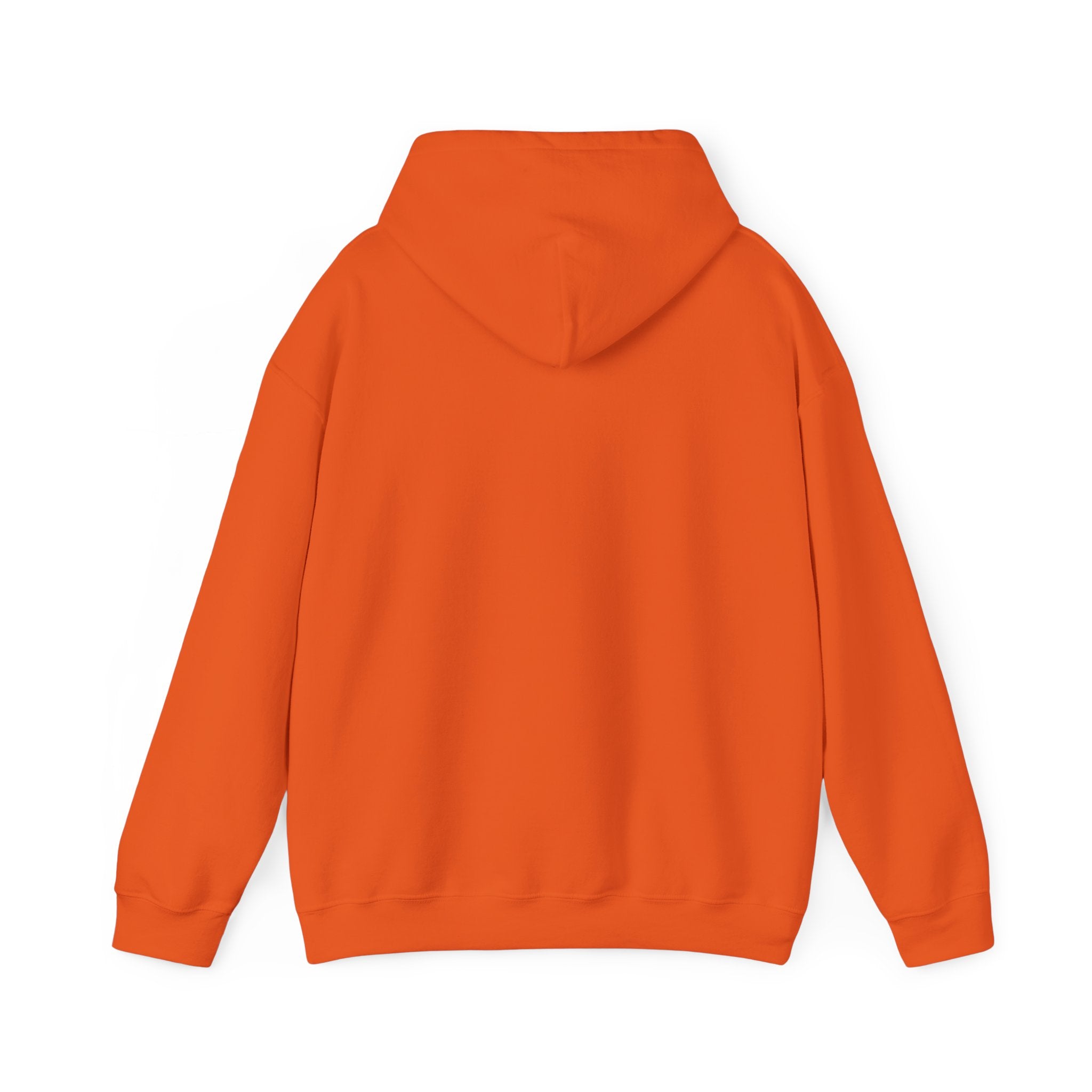 Positive Vibes Only - Sweat-shirt à capuche unisexe Heavy Blend™